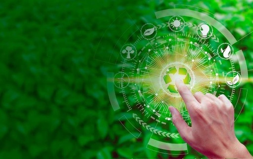 Sustainability Culture